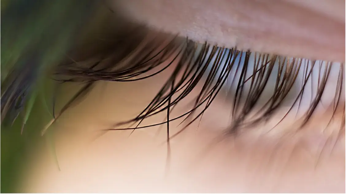 eyelashes