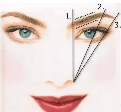 eyebrow position